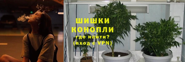 сатива Богородицк