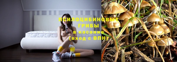 круглые Белокуриха
