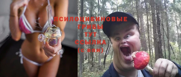 дурь Богданович
