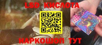 шишки Конаково