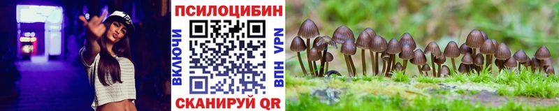 блэк спрут сайт  Кушва  Псилоцибиновые грибы Magic Shrooms 